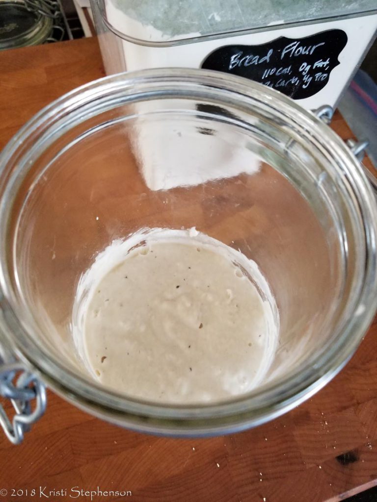 Sourdough starter - beginning refresh
