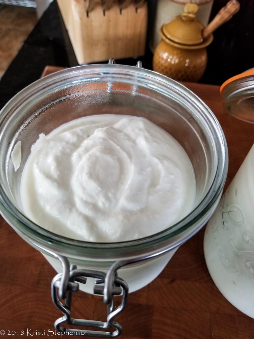 Fermented Foods Part 2 Homemade Yogurt Cook, Craft, Cultivate