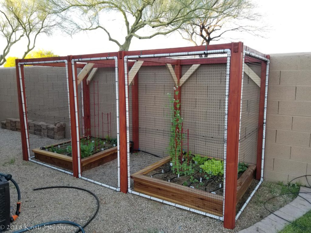 square foot garden beds