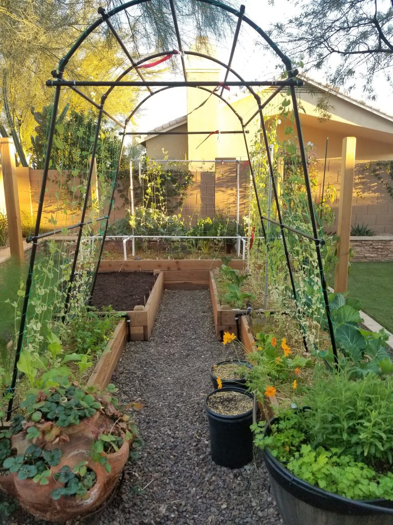 Garden arch for pole beans